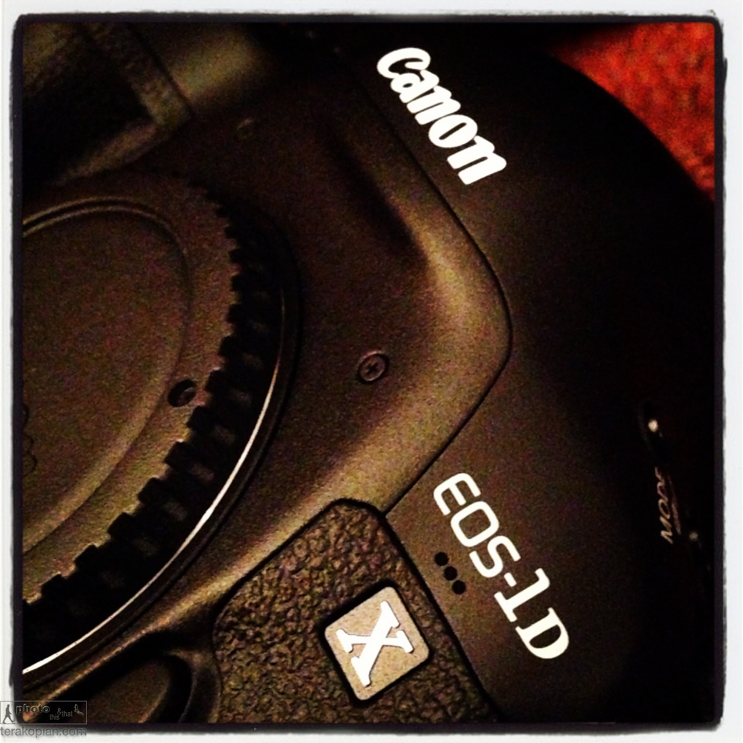 Canon 1DX. Photo: ©Edmond Terakopian
