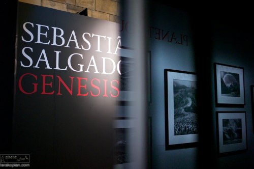 World premiere of Sebastiao Salgado's Genesis Exhibition at the Natural History Museum in London, UK. April 09, 2013. Photo: Edmond Terakopian