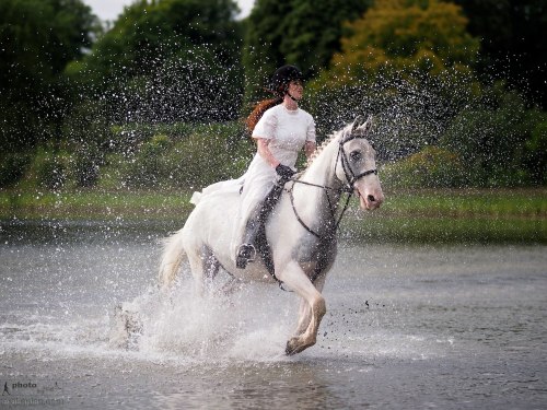 A horse and rider gallop through a lake. Olympus OM-D EM-1 Test Shot with the Olympus 75mm f1.8 lens.  Castle Leslie, Glaslough, Ireland. September 10, 2013. Photo: ©Edmond Terakopian    *jpeg image processed in Aperture*