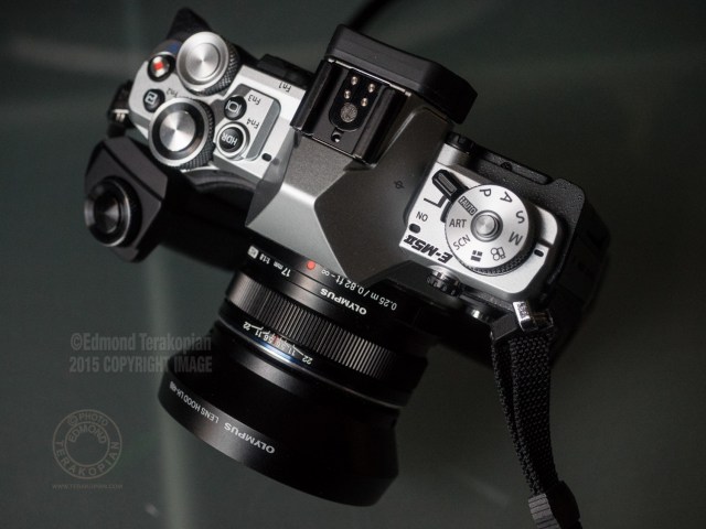 Olympus OM-D E-M5 Mark II Review | Photo This & That